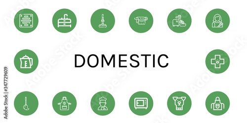 Set of domestic icons