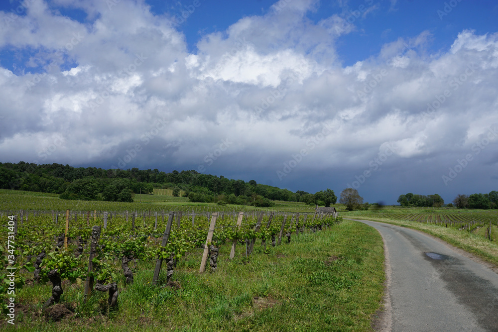 country road in the vineyard of the Loire valley, France on a stormy day