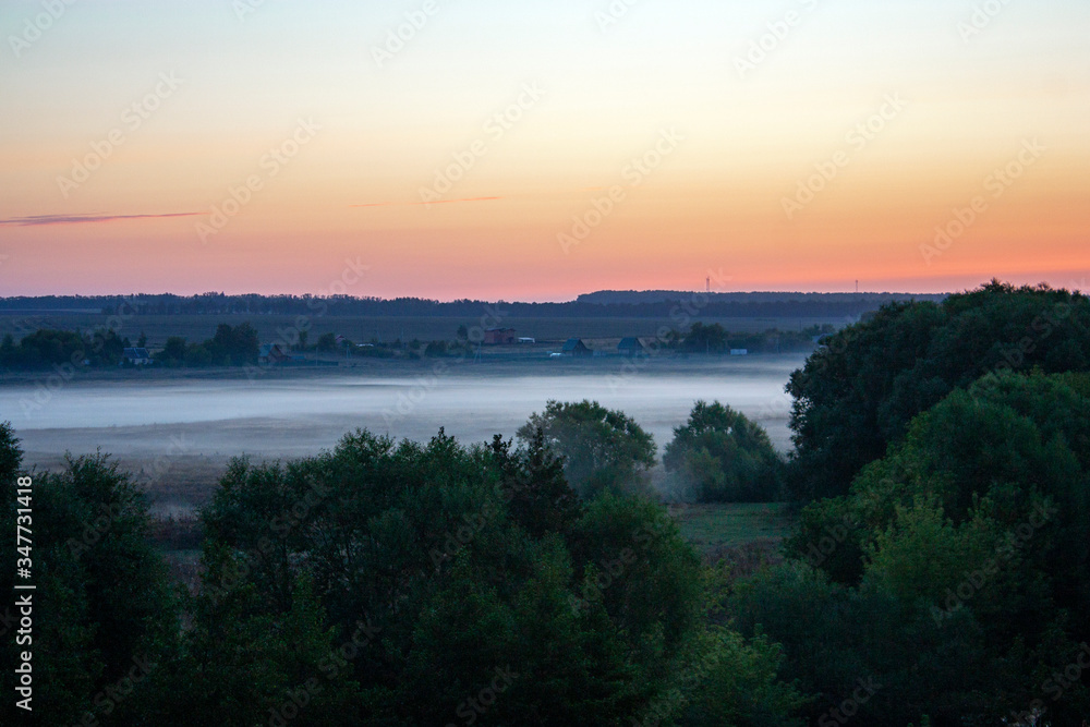 Summer dawn on the horizon. White fog on the field at dawn. Green trees in the forest in the foreground. Trees and foggy field at dawn morning.
