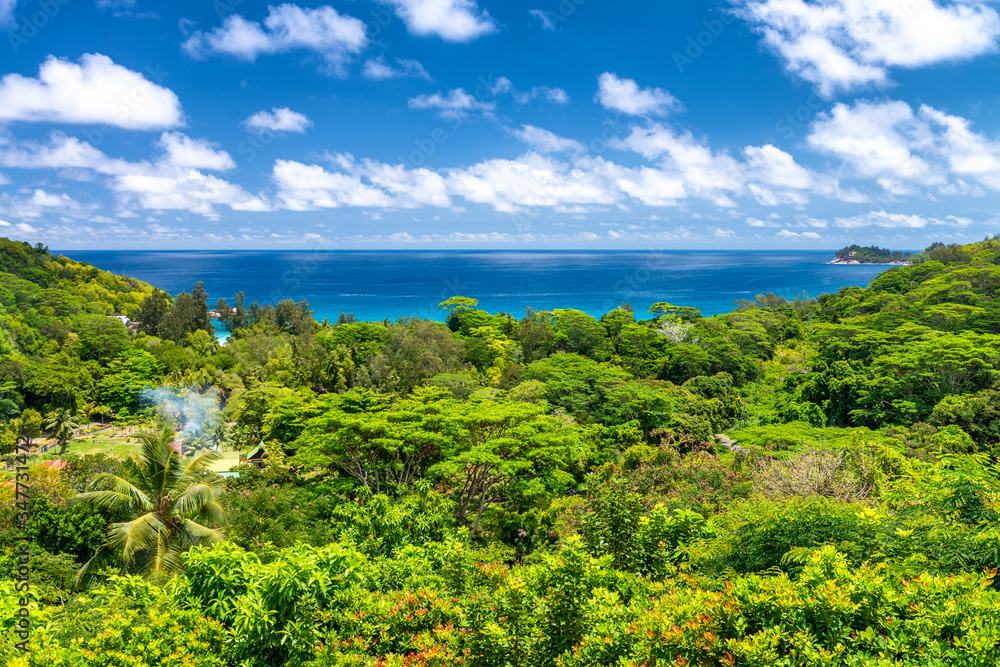 Amazing tropical landscape with trees and blue sky