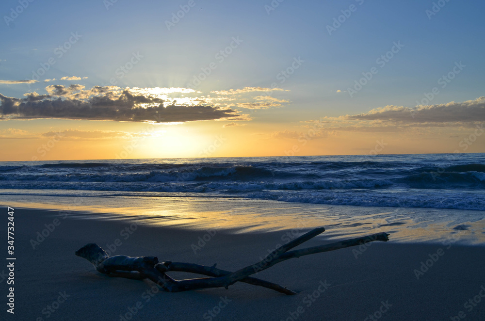 spring summer sunset with branch background dragged by storm spring summer sunset with branch background dragged by storm