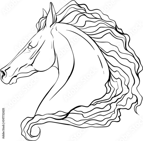 Horse portrait coloring page