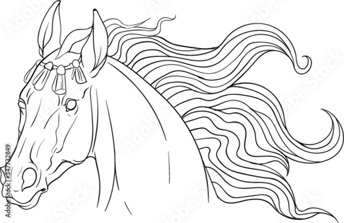 Horse portrait coloring page