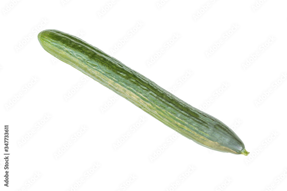 close up of fresh cucumber in green color isolated on white background with clipping path. close up of fresh cucumber in green color isolated on white background with clipping path.