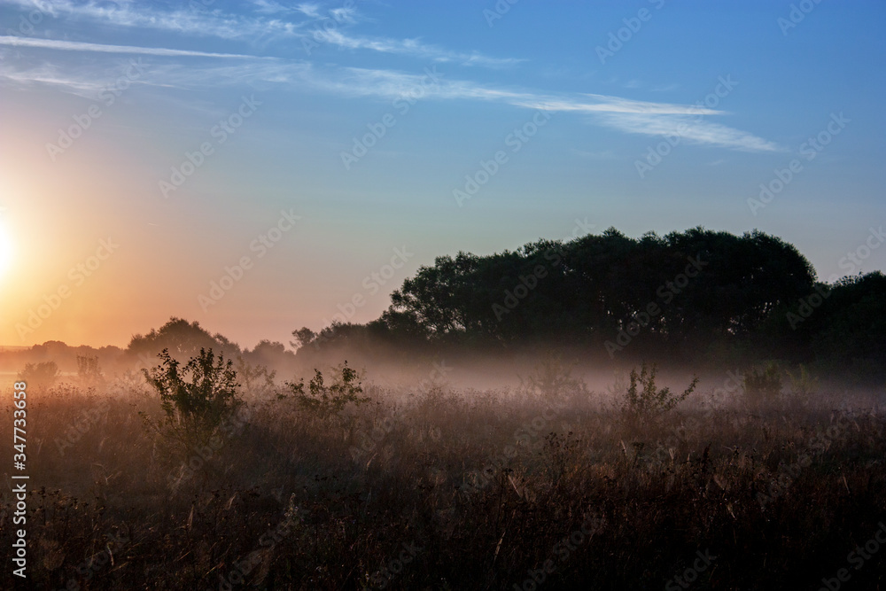 The sun rises over the horizon early in the morning. Trees in the field and fog at dawn. Red-orange sky in the rays of the rising sun and a field in the fog.
