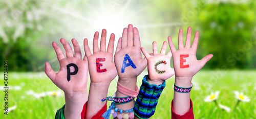 Children Hands Building Colorful English Word Peace. Sunny Green Grass Meadow As Background