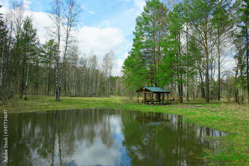 Camping near small lake in the spring forest