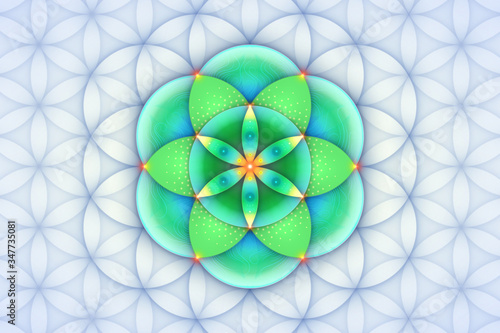 Sacred geometry, seed of life. Vector background.
