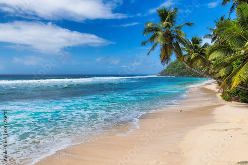 Tropical white sand beach with coco palms and the turquoise sea on Caribbean island. Summer vacation and tropical beach concept.