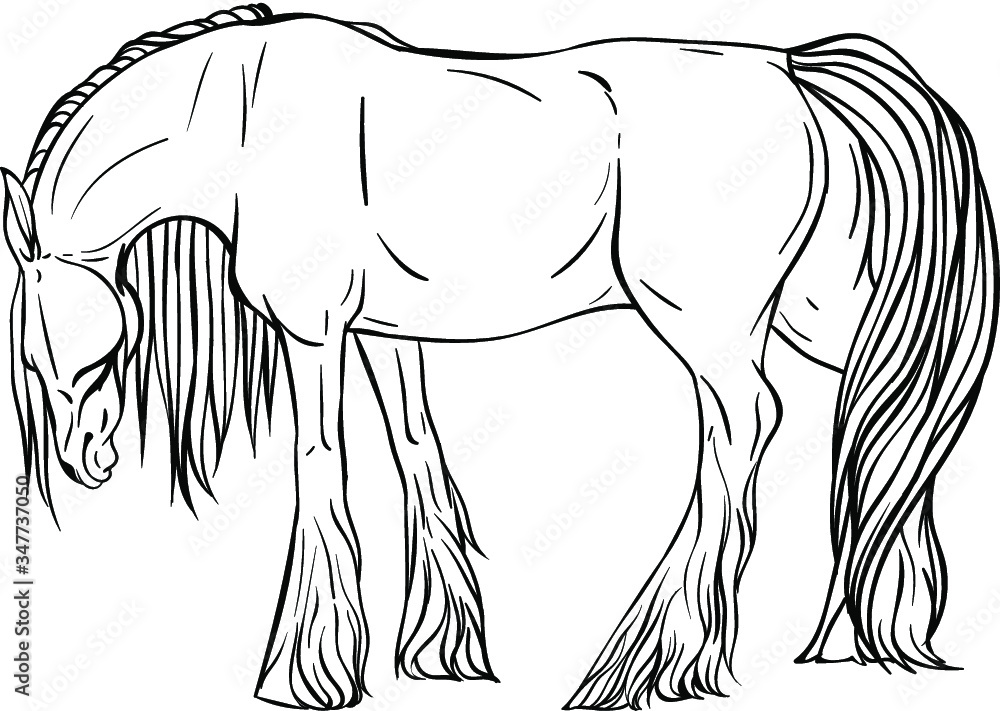 Horse coloring page in full growth Stock Vector | Adobe Stock