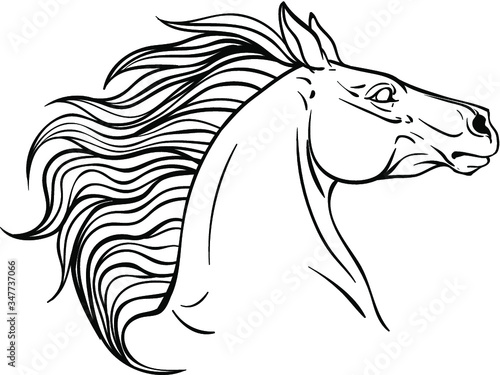 Horse portrait coloring page