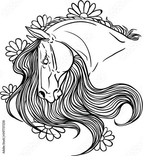 horse and flowers