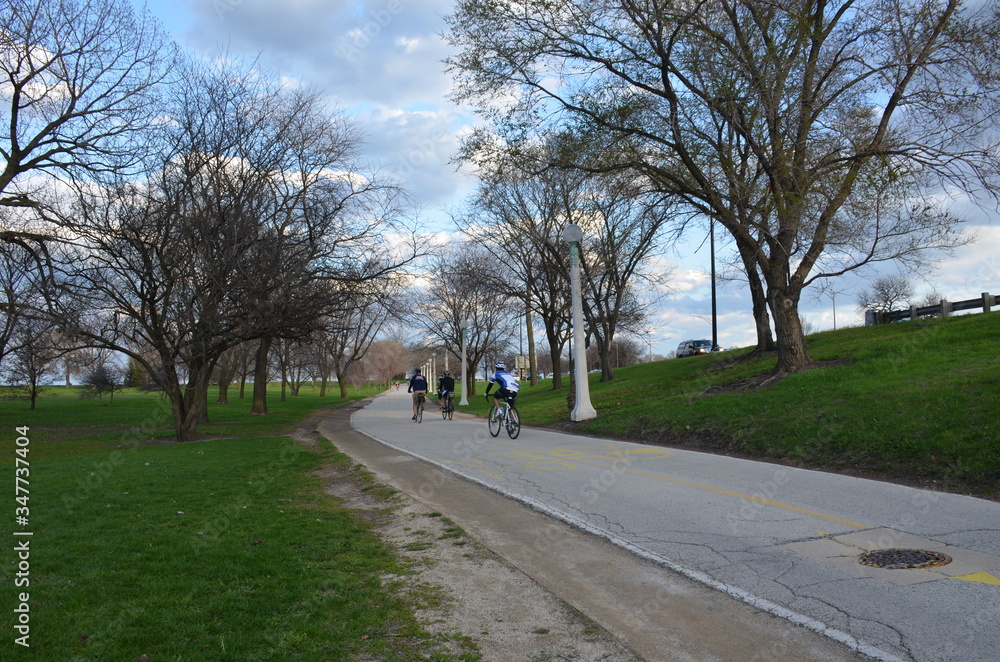 the road in the park - Chicago Lincoln park Neighborhood the road in the park - Chicago Lincoln park Neighborhood