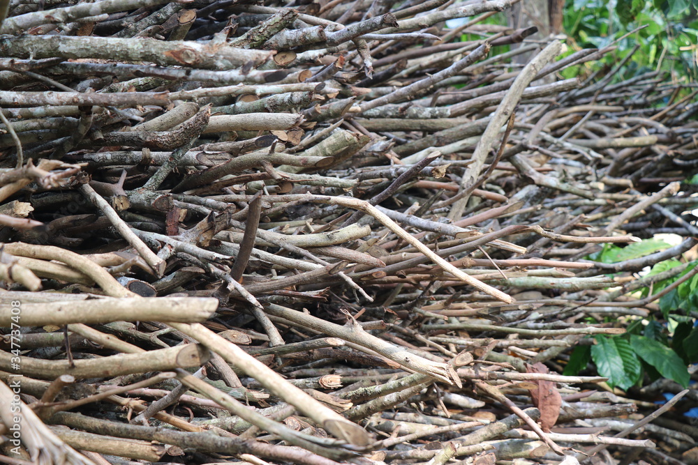 Firewood arranged in stacks which is dry and ready for use Firewood arranged in stacks which is dry and ready for use