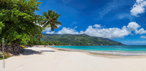 Panoramic view of amazing Beau Vallon beach with white sand and coconut palm tree on Mahe island  Seychelles.