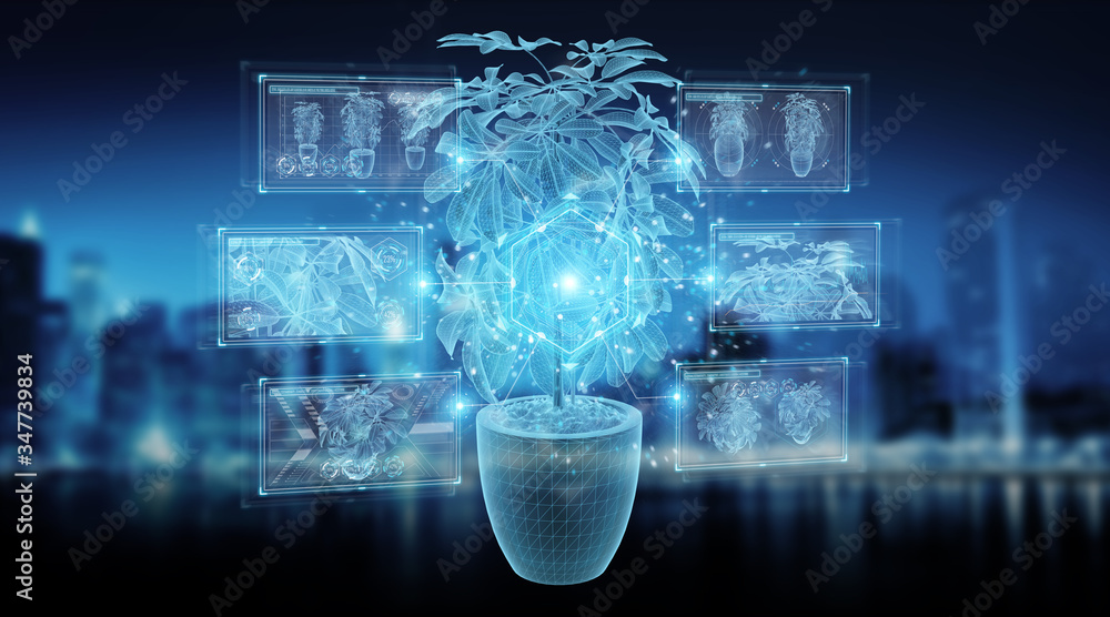 Holographic projection of a plant with digital analysis on blue background 3D rendering Holographic projection of a plant with digital analysis on blue background 3D rendering