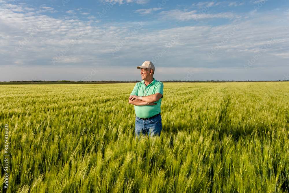 Portrait of smiling senior farmer standing in in wheat field. Portrait of smiling senior farmer standing in in wheat field.