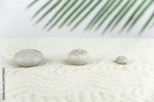 Canvas Print Zen garden