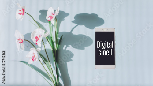 Digital smell scent technology. Fragrance Research, Future of Smell, Transmit odors in online, augmented reality