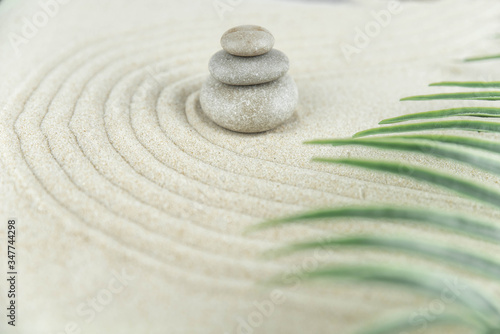Photography Zen garden