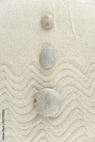 Canvas Print Zen garden
