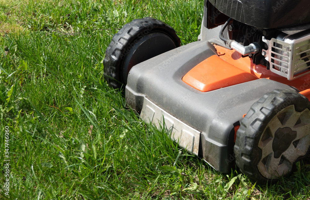 Man moves with lawnmower mows green grass Man moves with lawnmower mows green grass