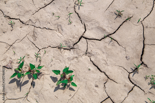Fototapeta land desertification summer drought Italian countryside