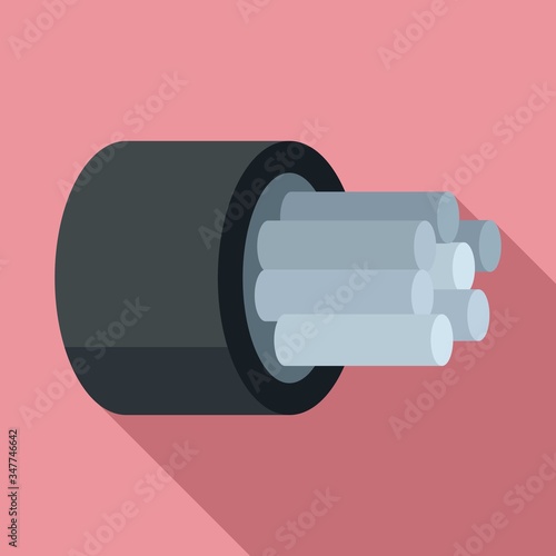 Computer optical fiber icon. Flat illustration of computer optical fiber vector icon for web design