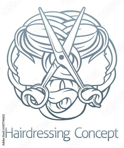 Hair stylist salon hairdres...