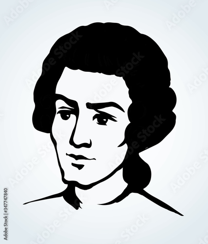Vintage french wig. Vector drawing