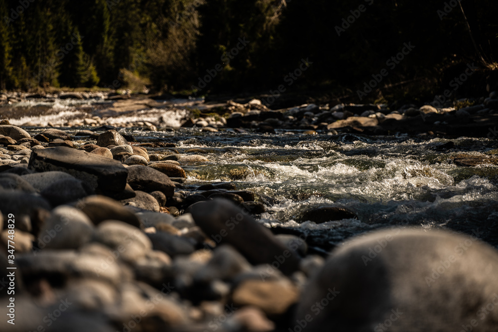 Górski potok - Zakopane