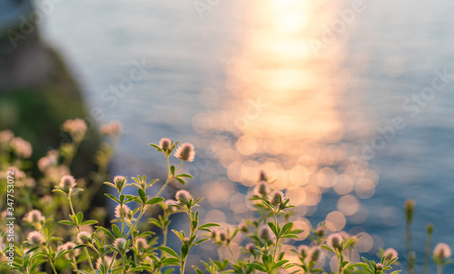 Fotografija Flowers on balcony at sunset in Sorrento, Italy.
