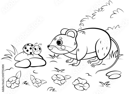 Coloring page outline of cute cartoon vole or mouse with ladybug. Vector image with nature background. Coloring book of forest wild animals for kids
