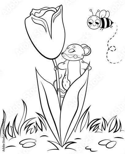 Coloring page outline of cute cartoon forest vole or mouse with flower tulip. Vector image with nature background. Coloring book of forest wild animals for kids