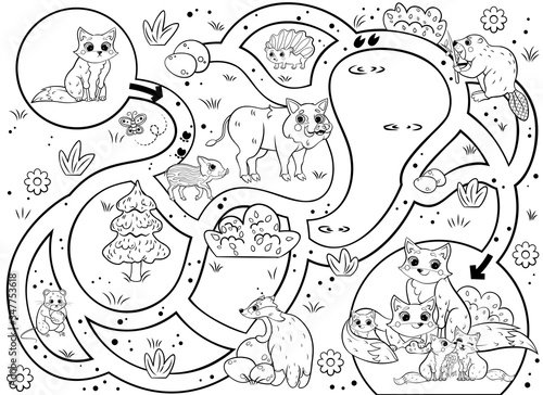 Help the little lost fox find the way to his family. Maze or labyrinth game for preschool children. Puzzle. Tangled road. Forest animals for kids. Black and white for coloring