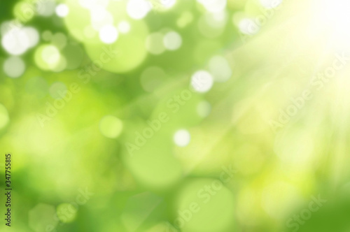 Green and white bokeh background from natural.