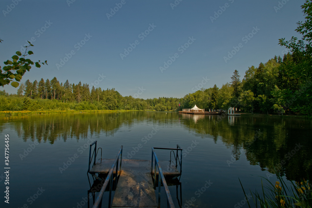 the serene surface of the pond surrounded by forest the serene surface of the pond surrounded by forest