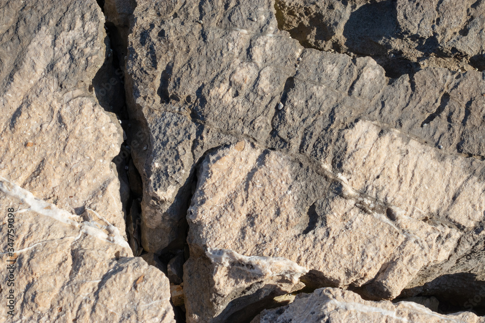 Textured surface of large rocks near the shore. Cracks between them Textured surface of large rocks near the shore. Cracks between them