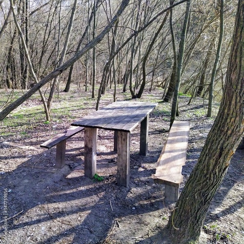 Billede på lærred Wooden benches and table in forest at spring