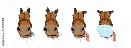 The horse head. Cartoon art. Playful with big tongue. Four positions.