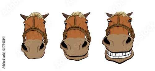 The horse head. Sketch art. Serious emotion.
