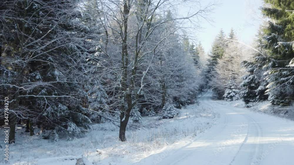 Snow-covered road through snow-covered forest Snow-covered road through snow-covered forest