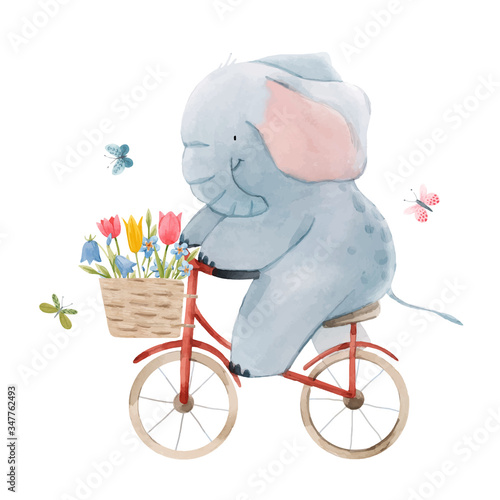 Beautiful vector stock illustration with cute watercolor baby elephant on bike. Animal with bicycle hand drawn painting.