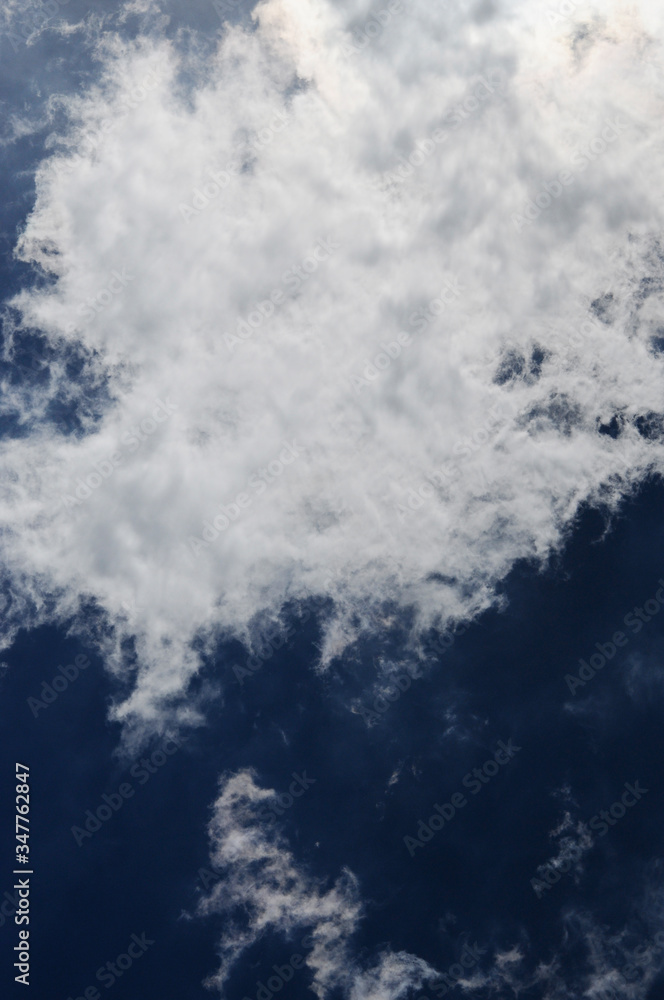 Obraz premium 青空の雲