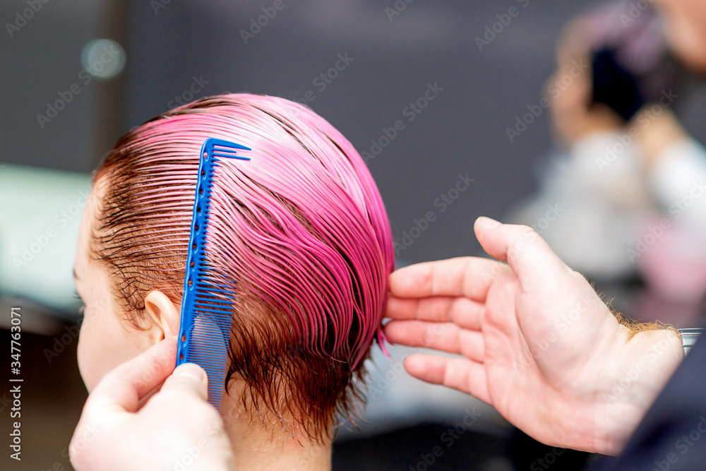 Naklejka premium Back view of hands of hairdresser combing pink hair of young woman in hair salon.
