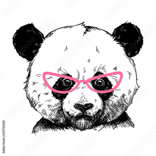 Vector illustration of a panda bear in pink fashionable glasses. Can be used for greeting card, t shirt design, print or poster.