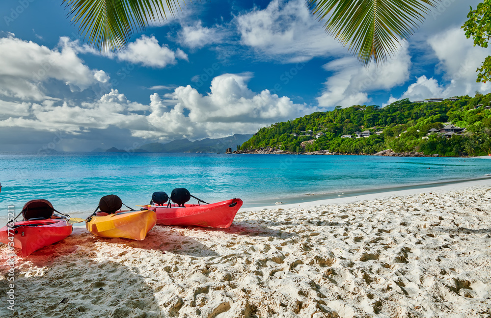 Beach with kayaks and palm tree at Seychelles