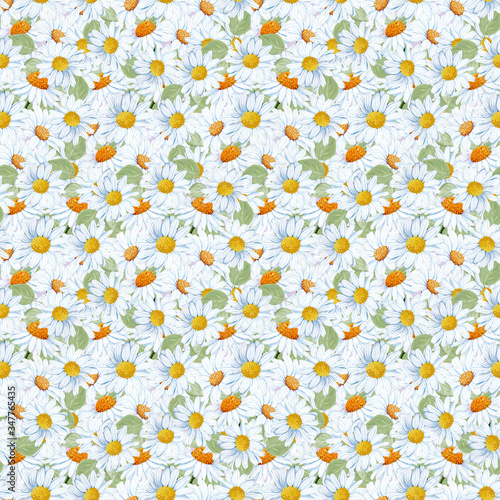 seamless pattern with watercolor daisy