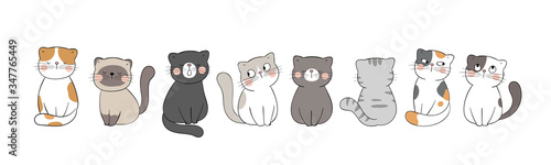 Draw banner cute cat on white for greeting card.