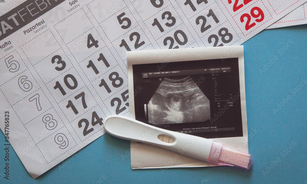 Ultrasound scan of an unborn baby of fifth week with a pregnancy test ...